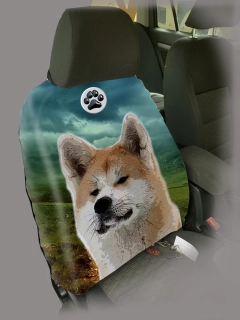 Dog Autopotah-Akita-inu