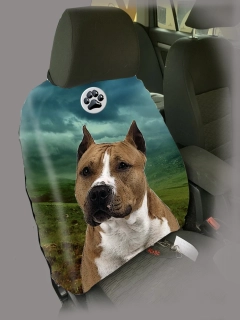 Dog Autopotah-Americký pitbul
