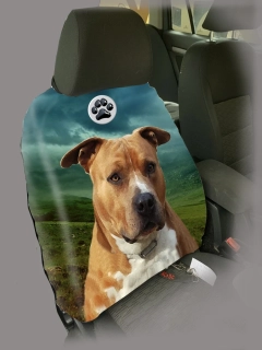 Dog Autopotah-Amstaff
