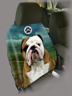 Dog Autopotah-Anglický buldok