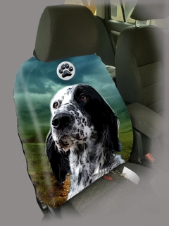 Dog Autopotah-Anglický setr