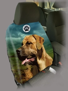 Dog Autopotah-Bandog