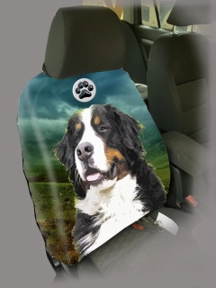 Dog Autopotah-Bernský salašnický