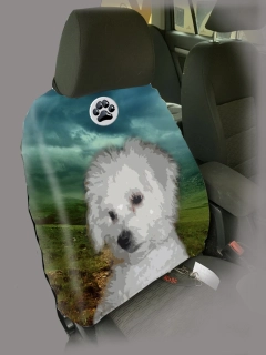 Dog Autopotah-Bišonek