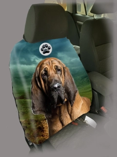 Dog Autopotah-Bloodhound