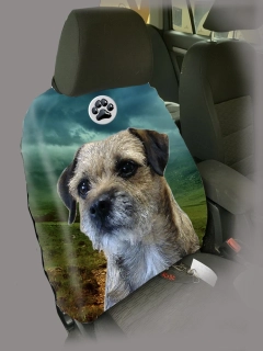 Dog Autopotah-Border teriér
