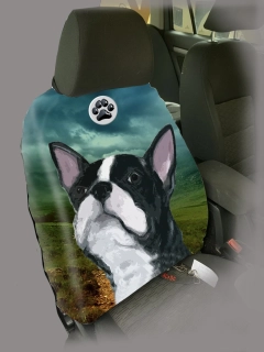 Dog Autopotah-Bostonský teriér