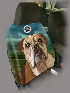 Dog Autopotah-Buldok