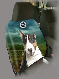 Dog Autopotah-Bulteriér