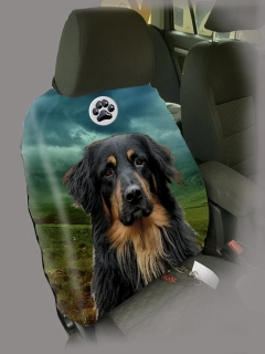 Dog Autopotah-Hovawart