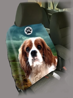 Dog Autopotah-Kavalír