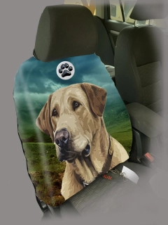 Dog Autopotah-Labradorský retrívr 1