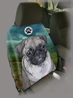 Dog Autopotah-Mops