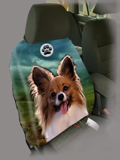 Dog Autopotah-Papilon