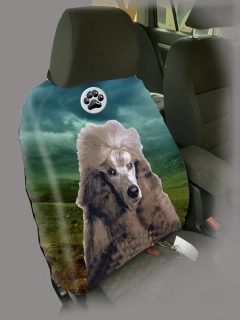 Dog Autopotah-Pudl