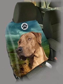 Dog Autopotah-Rhodéský ridgeback