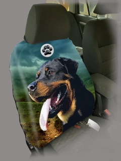 Dog Autopotah-Rotvajler