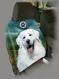 Dog Autopotah-Slovenský čuvač
