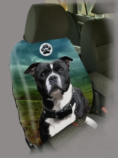 Dog Autopotah-Stafordšírský bulteriér