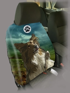 Dog Autopotah-Šeltie