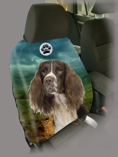 Dog Autopotah-Anglický špringšpaněl
