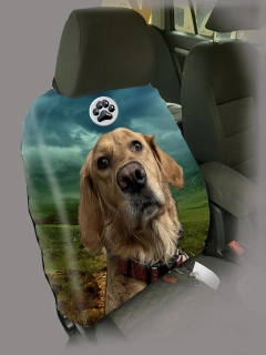 Dog Autopotah-Zlatý retrívr