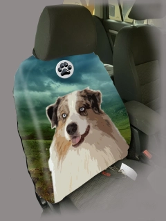 Dog Autopotah-Austalský ovčák