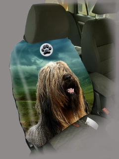 Dog Autopotah-Briard