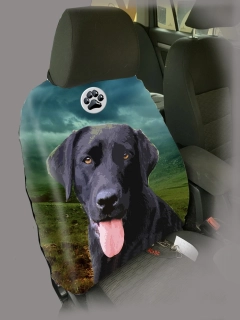 Dog Autopotah-Labradorský retrívr 2
