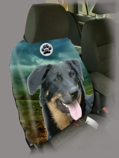 Dog Autopotah-Beauceron