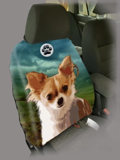 Dog Autopotah-Čivava