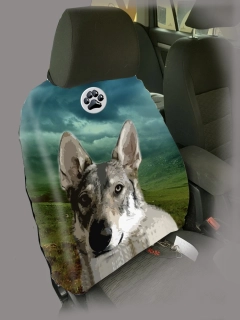 Dog Autopotah-Československý vlčák