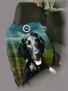 Dog Autopotah-Flat coated