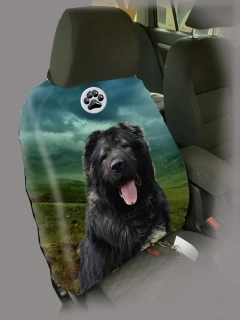 Dog Autopotah-Kavkazský pastevecký