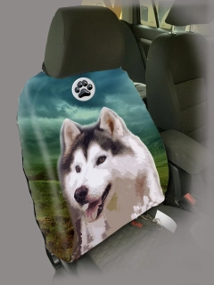 Dog Autopotah-Sibiřský husky
