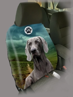 Dog Autopotah-Výmarský ohař