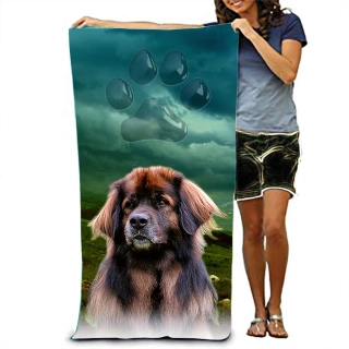 Ručník-Leonberger 2