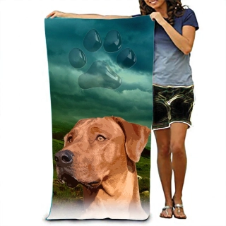 Ručník-Rhodézský Ridgeback 2