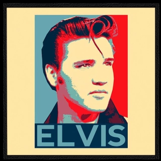 Nášivka SUB 9x9-Elvis