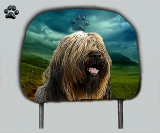 Dog opěrka hlavy-Briard