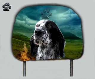Dog opěrka hlavy-Anglický Setr