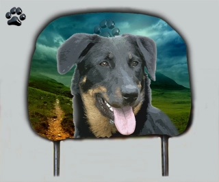 Dog opěrka hlavy-Beauceron