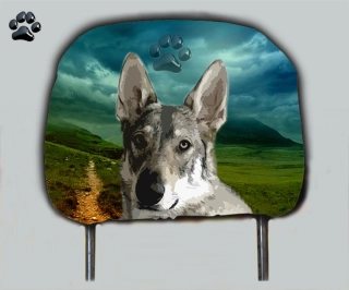 Dog opěrka hlavy-Československý vlčák