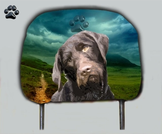 Dog opěrka hlavy-Český Fousek