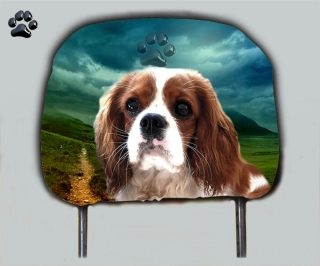 Dog opěrka hlavy-Kavalír