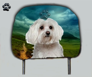 Dog opěrka hlavy-Maltézský psík