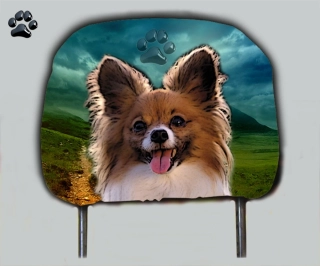 Dog opěrka hlavy-Papilon