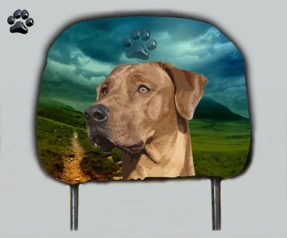 Dog opěrka hlavy-Rhodézský Ridgeback