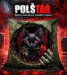 Polštář -Hole Cat 01