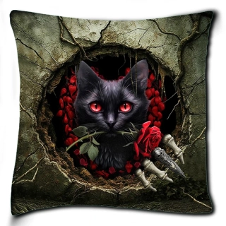Polštář -Hole Cat 01